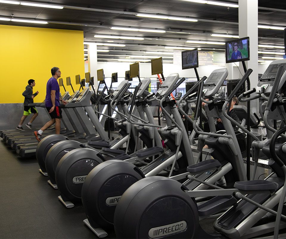 Gym members using the treadmills.