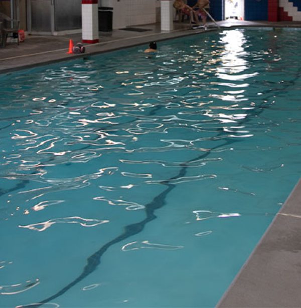 people swimming in the indoor swimming pool at the gym